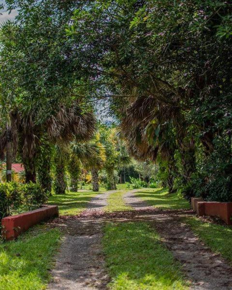 Linda Casa De Verano Con Amplias Zonas Verdes San Isidro De El General Exteriér fotografie